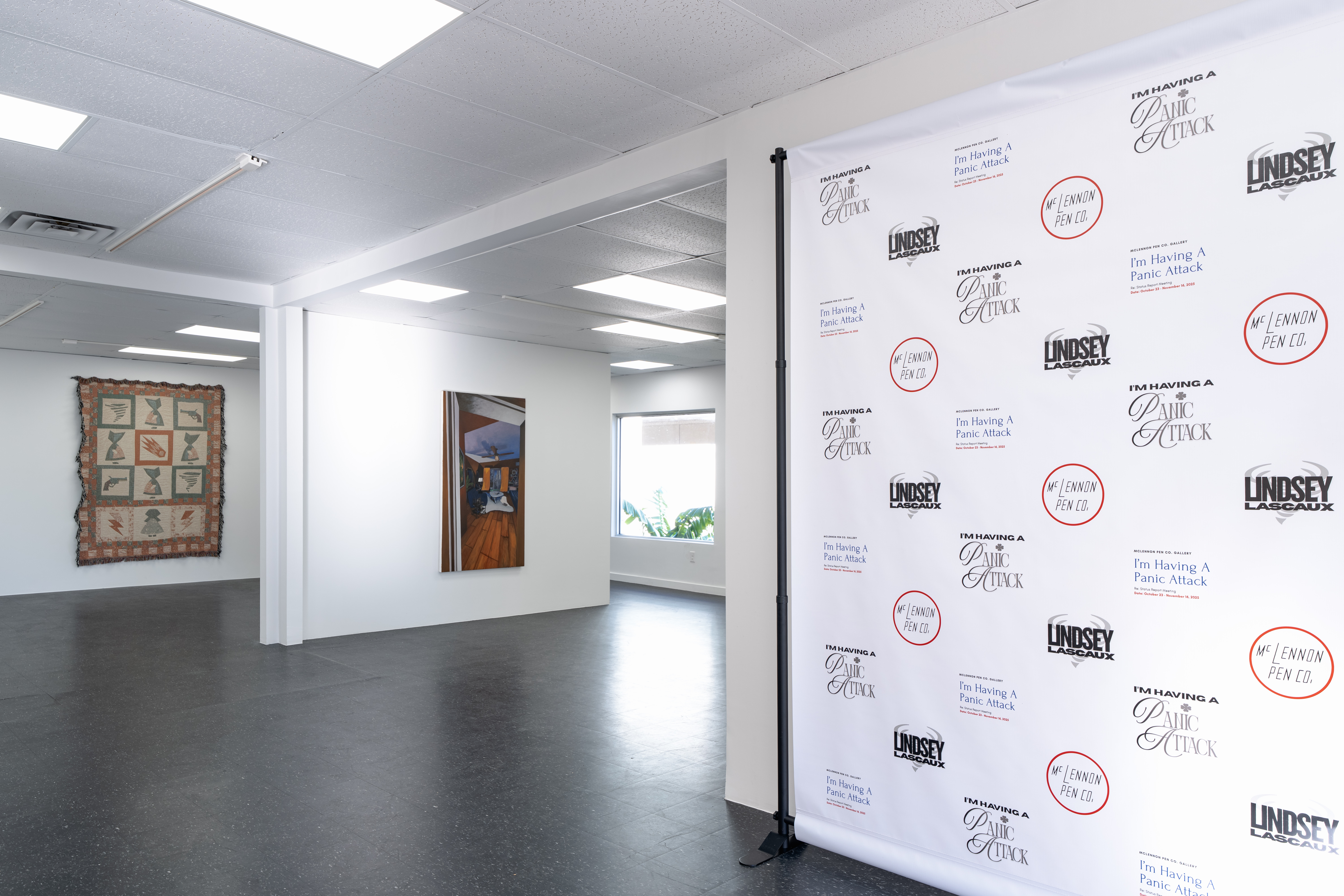 I'm Having A Panic Attack installation view at McLennon Pen Co.
